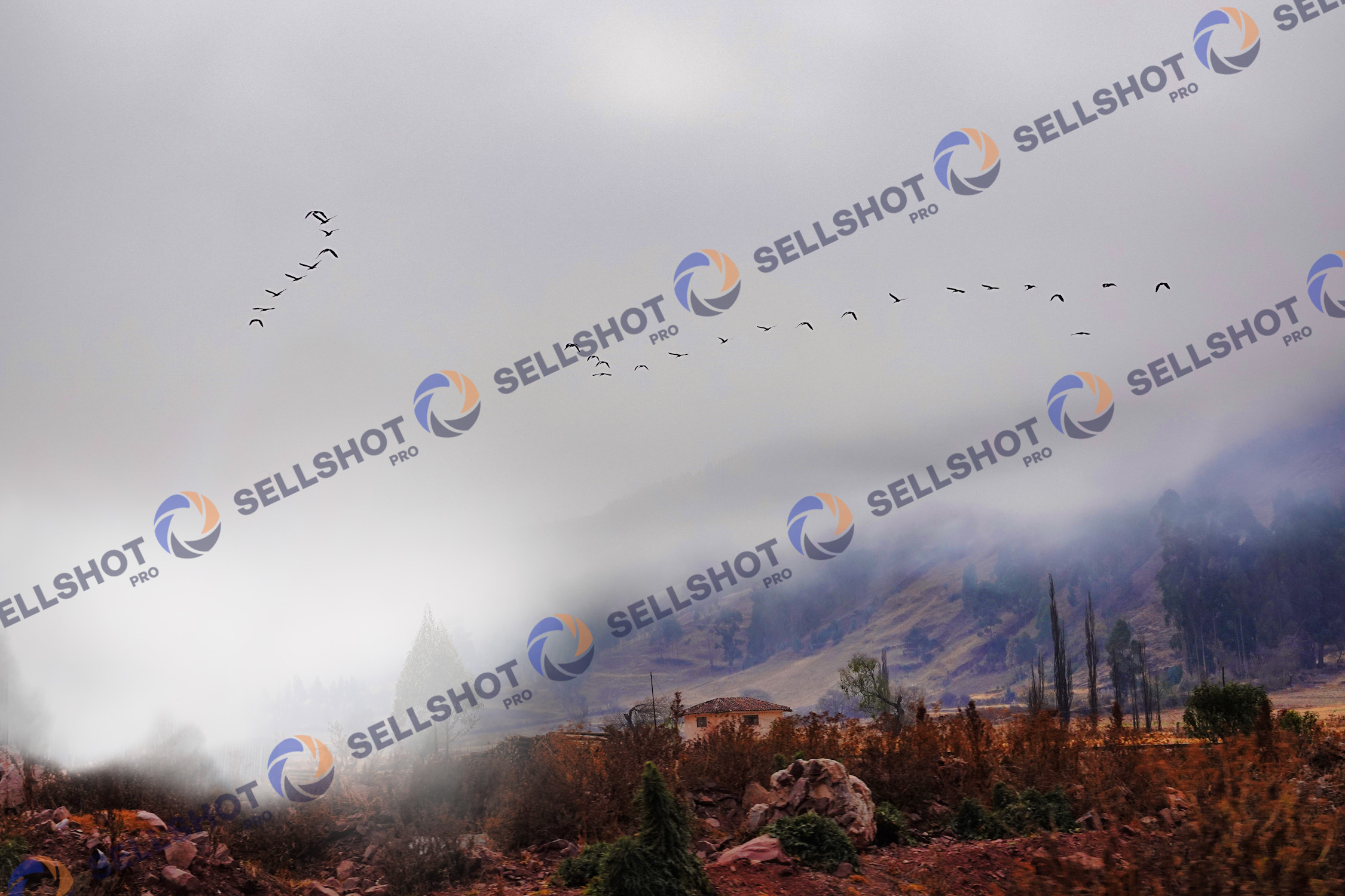 Early morning with heavy mist. Beautiful countryside in Cusco